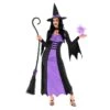 Costume Da Strega Viola Per Donna -Angels Face Negozio mcwwwp wicked witch purple adult 01 1