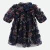 Luella Floral Tulle Dress Navy -Angels Face Negozio Luella Dress Navy Front