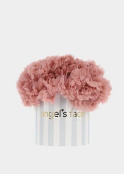 Pixie Tutu Skirt Tea Rose 11 Pixie Tutu Skirt Tea Rose -Angels Face Negozio Pixie Tutu Star Tea Rose Box Web